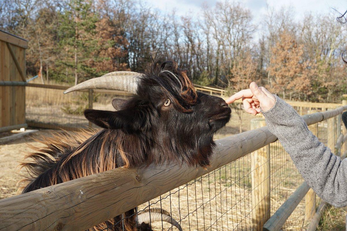 Parc Animalier des Gorges de l'Ardèche