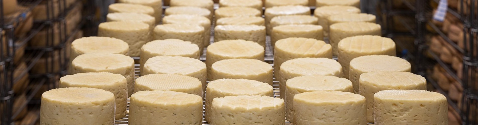 Fromage de chèvre en Ardèche